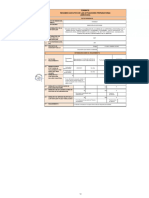 Formato Resumen Ejecutivo de Las Actuaciones Preparatorias (Servicios)