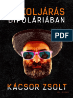 Kácsor Zsolt - Pokoljárás Bipoláriában