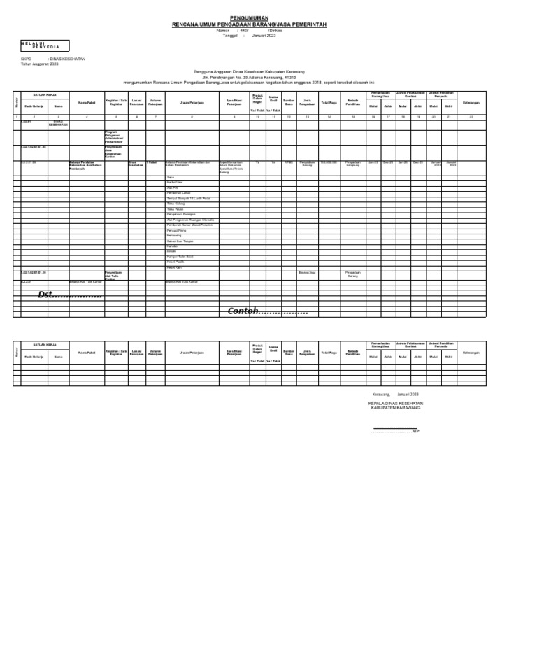 Format RUP 2023 - Excel | PDF