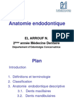 Anatomie Endodontique - Anatomie Dentaire Descriptive - EL ARROUF 2020-21