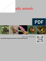 Deadly Animals