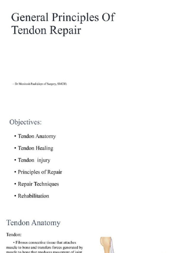 Tendon Repair | PDF