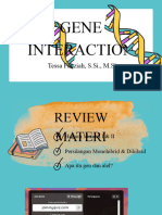 GENE Interaction