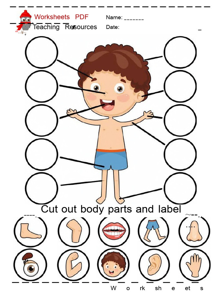 Cut Out Body Parts PDF