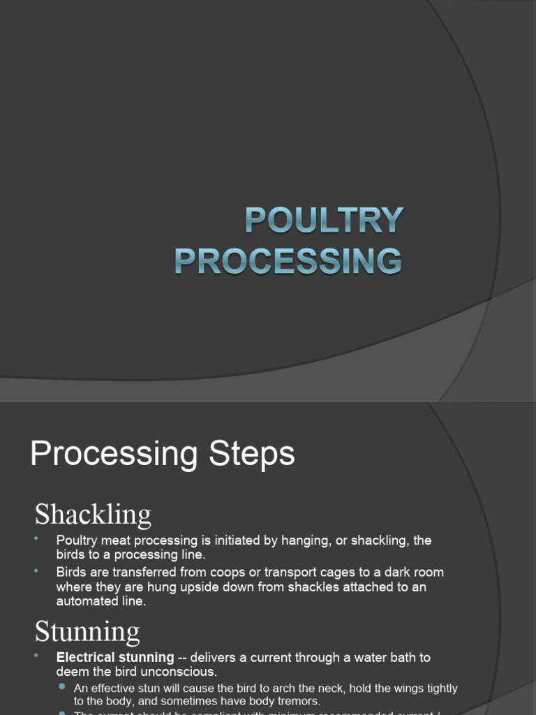 Poultry Processing Steps Explained | PDF | Poultry | Curing (Food ...