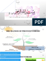 PHOTOSYNTHESIS - Imran - Bs Botany