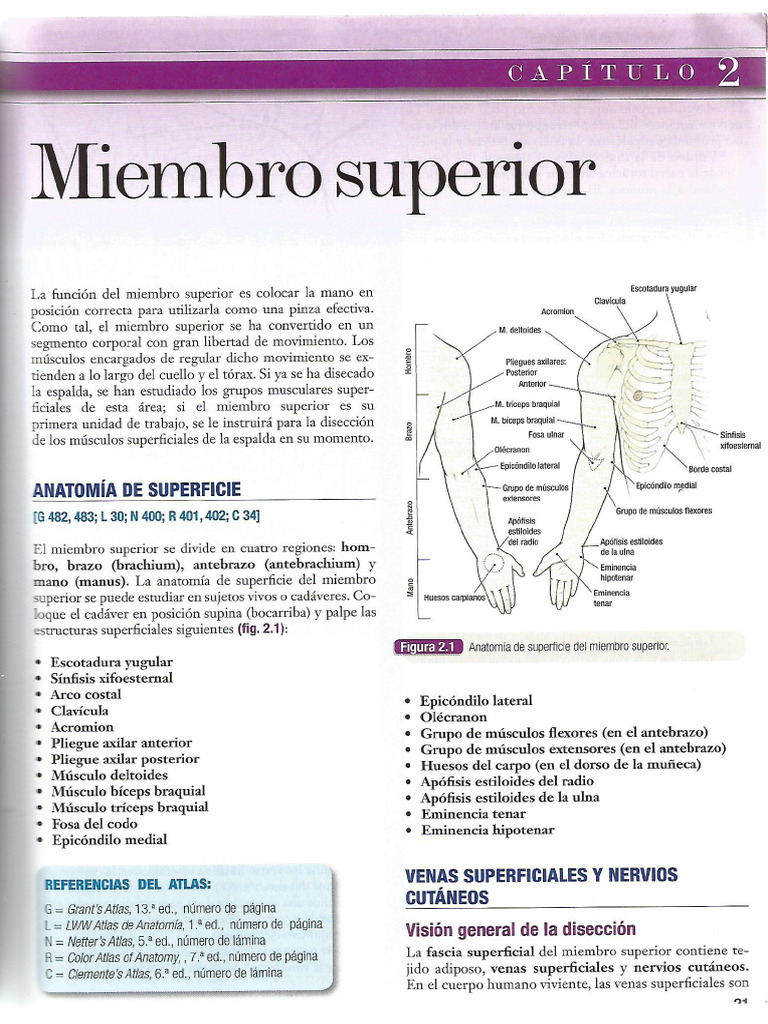Grant Manual de Diseccion Capitulo 2 Miembro Superior PDF