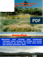 02 - Dinamika Dan Proses Ekosistem estuari-IKL S3-II - Alex Retraubun
