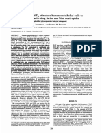 Leukotrienes C4 and D4 Stimulate Human Endothelial Cells To Synthesize Platelet-Activating Factor and Bind Neutrophils