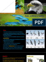 Aves, Reptiles, Anfibios