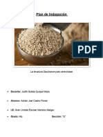 Plan de Indagación: La Levadura Saccharomyces Cerevisisae