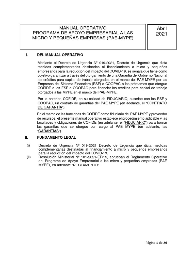 Manual Operativo Programa de Apoyo A Las Micro y Pequenas Empresas PAE ...