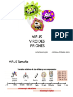 VIRUS TEMA 2 Importante