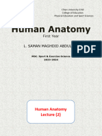 Human Anatomy 2