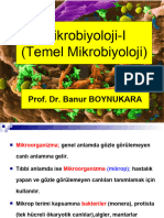 Mikrobiyoloji-I (Temel Mikrobiyoloji) : Prof. Dr. Banur BOYNUKARA