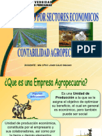 Contabilidad Agropecuaria