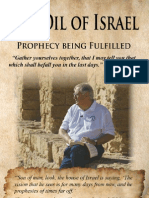The Oil of Israel Copy