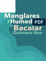 Manglares y Humedales de Bacalar.2022