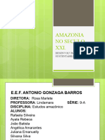 Amazonia No Seculo Xxi