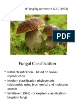 Classification of Fungi by Ainsworth G by Akanksha