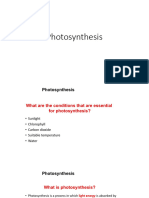 Chapter 1 Photosynthesis 2