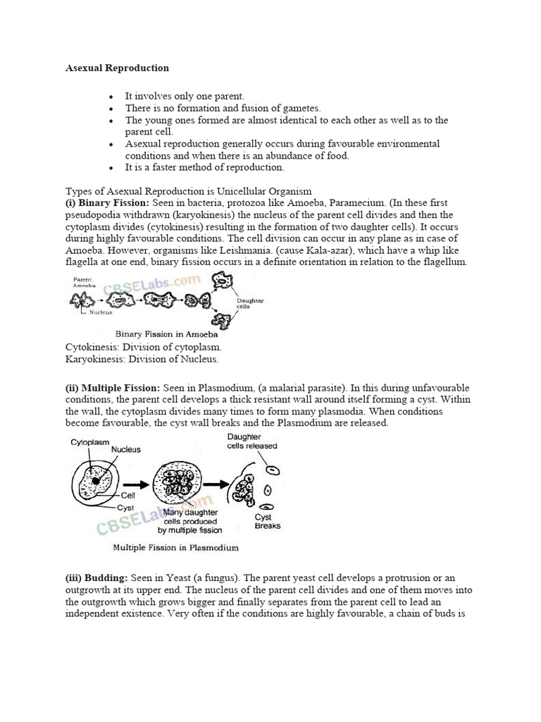 ASEXUAL REPRODUCTION PDF visual data 7