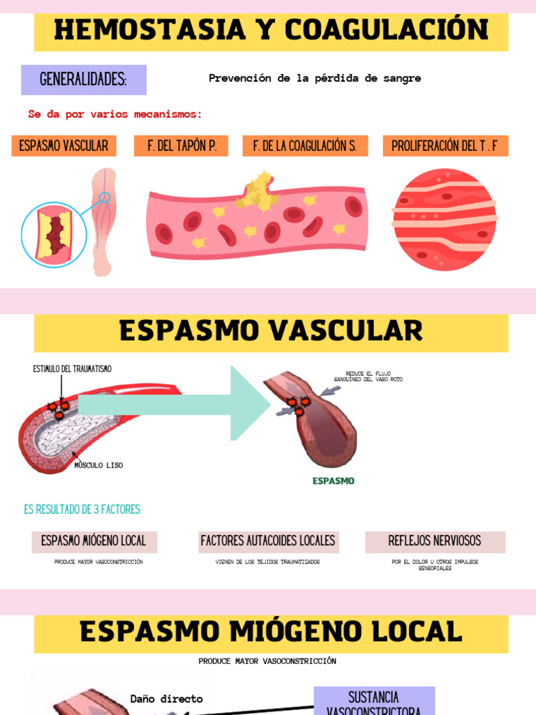 Espasmo Vascular y Hemostasia Local | PDF | Plaqueta | Histología