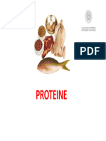 10 Proteine