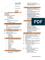 Chapter 7- Central Nervous System