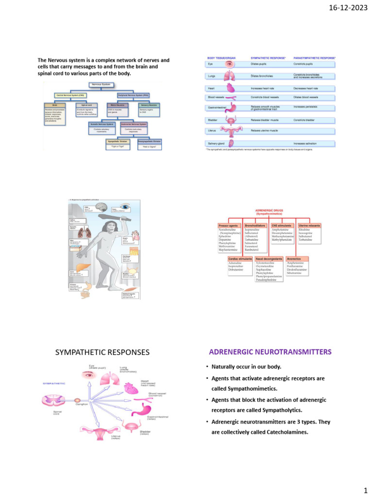 nursing-care-plan-evaluation-form-pdf-norepinephrine-neurotransmitter
