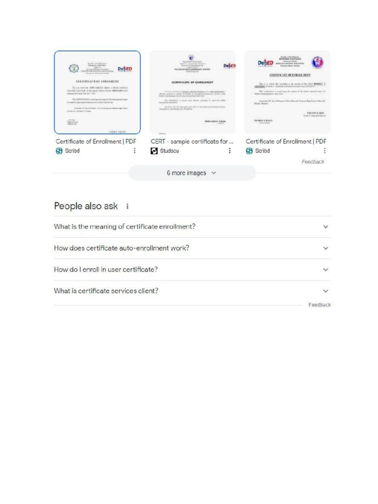 Certificate Enrolment PDF