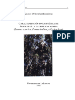 C (Laurus Azorica, Persea Indica y Myrica Faya) : Aracterización Fotosintética de Árboles de La Laurisilva Canaria