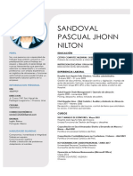 Sandoval Pascual Jhonn Nilton: Perfil