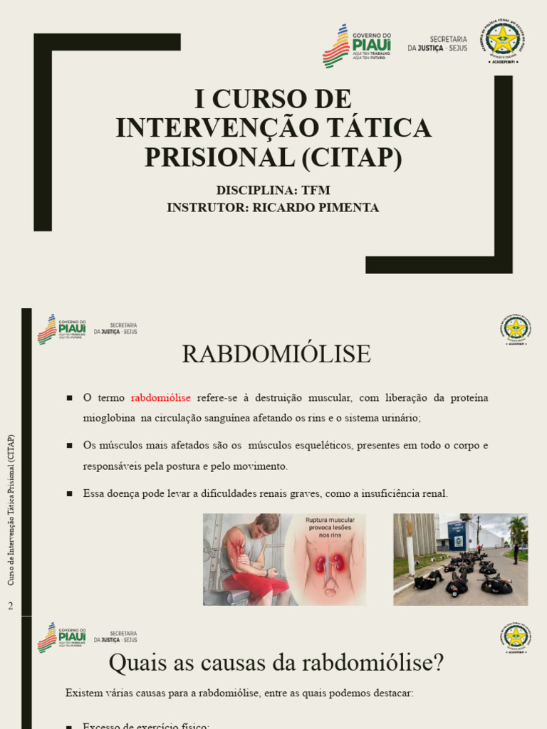 Modelo de Slide Citap-1 | PDF