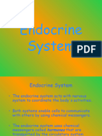 Endocrine System