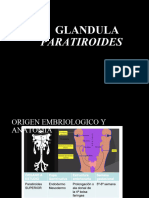 Fisiología Paratiroides