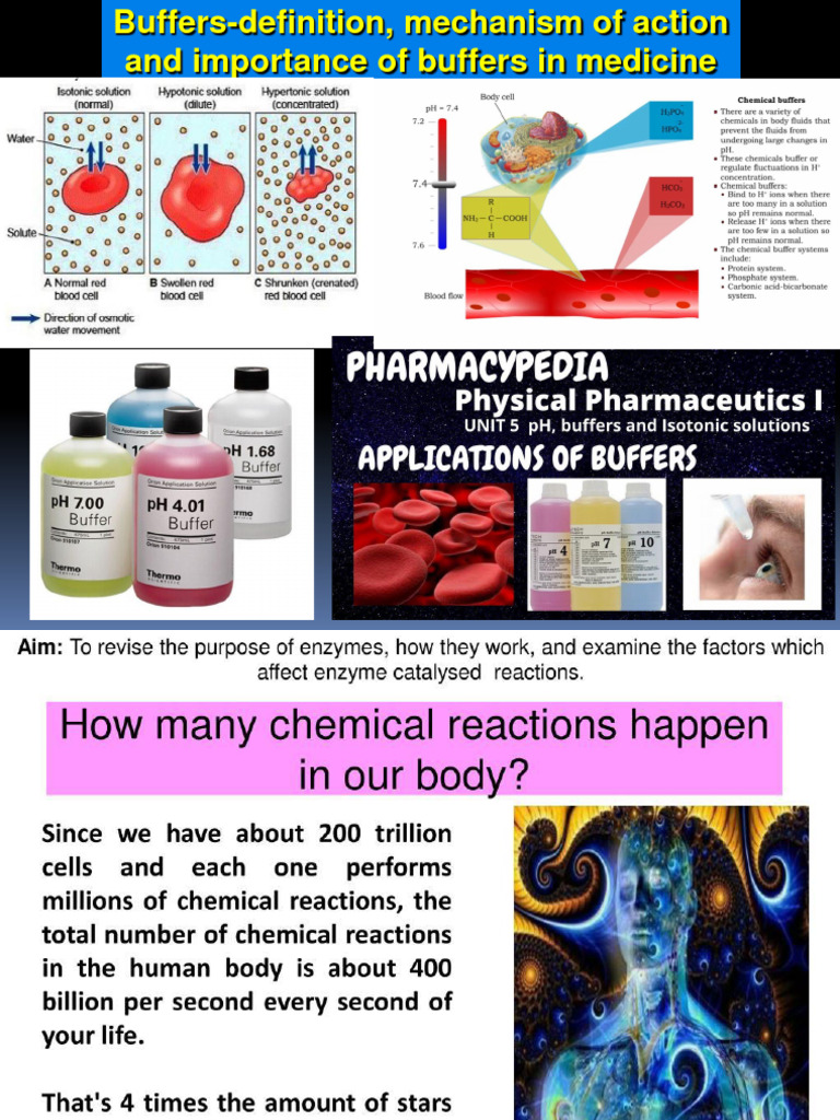 Body Buffer Systems Explained | PDF