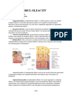 Segmentul Periferic, Intermediar, Central