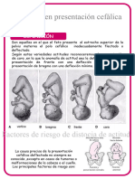 Informe Ob