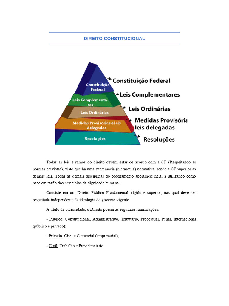 Resumo do Direito Constitucional | PDF | Constituição | Estado