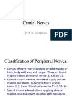 11NS Cranial and Spinal Nerves