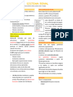 S10 - Sistema Renal