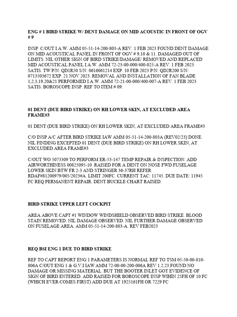 邦楽 A Report of the Birdstrike Bird Strike | PDF