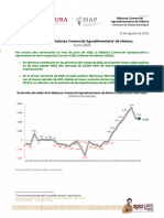 Balanza Comercial Agropecuaria y Agroindustrial-Junio 2022