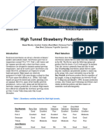 High Tunnel Strawberry Production