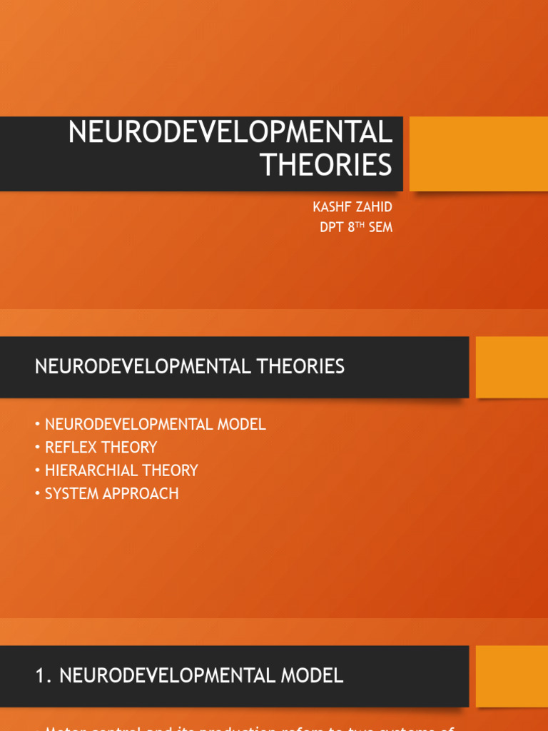 Neurodevelopmental Theories Overview | PDF | Science & Mathematics