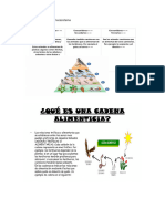 Continuacion Del Tema Del Ecosistema y Actividades 6 C