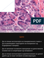 ch.15 pancreas liver gallbladder мк