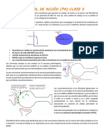 Clase 3-Potencial de Acción