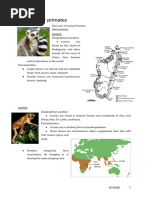 Primate Taxonomy and Classification Chart | PDF | Monkey | Ape